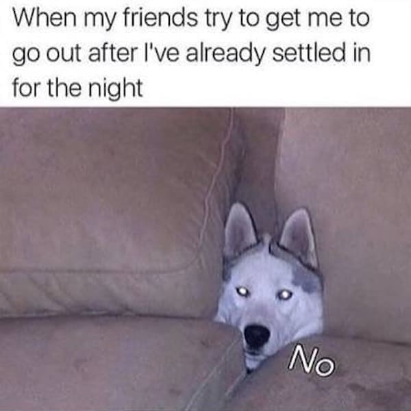 cozy meme When my friends try to get me to go out after I've already settled in for the night