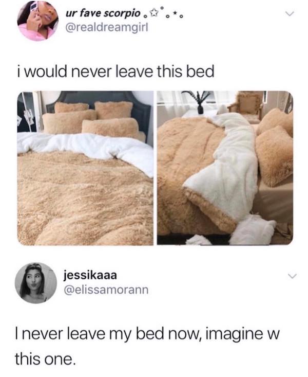 cozy meme i would never leave this bed jessikaaa @elissamorann I never leave my bed now, imagine w this one.