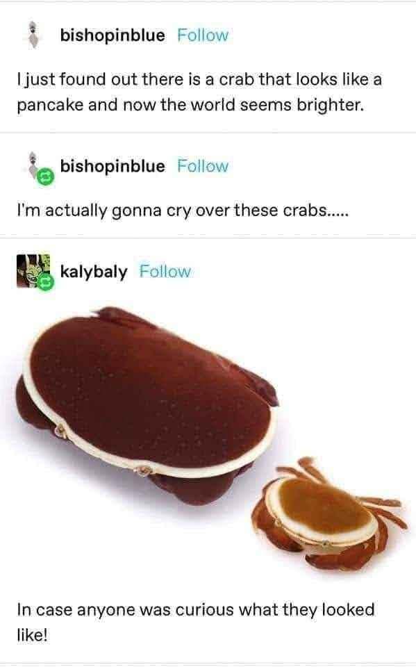 crab memes