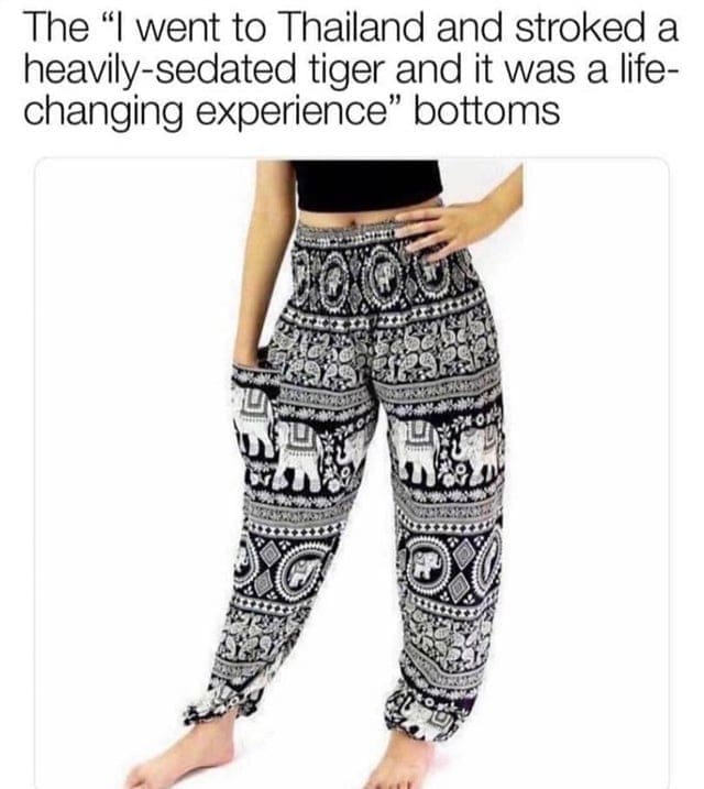 oddly specific memes The "I went to Thailand and stroked a heavily-sedated tiger and it was a life-changing experience" bottoms