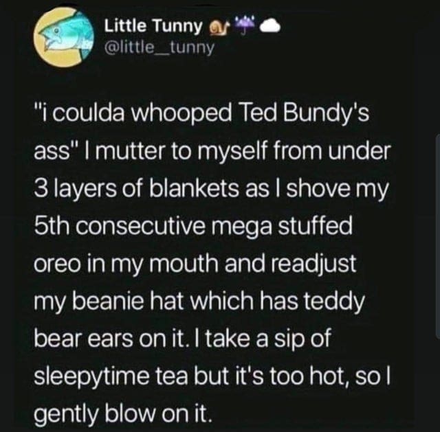 oddly specific memes "i coulda whooped Ted Bundy's ass" I mutter to myself from under 3 layers of blankets as I shove my 5th consecutive mega stuffed oreo in my mouth and readjust my beanie hat which has teddy bear ears on it. I take a sip of sleepytime tea but it's too hot, so l gently blow on it.