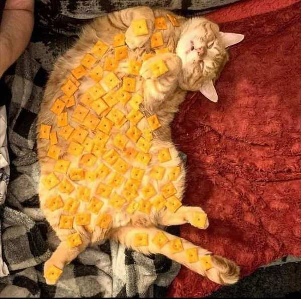 cursed food, food memes