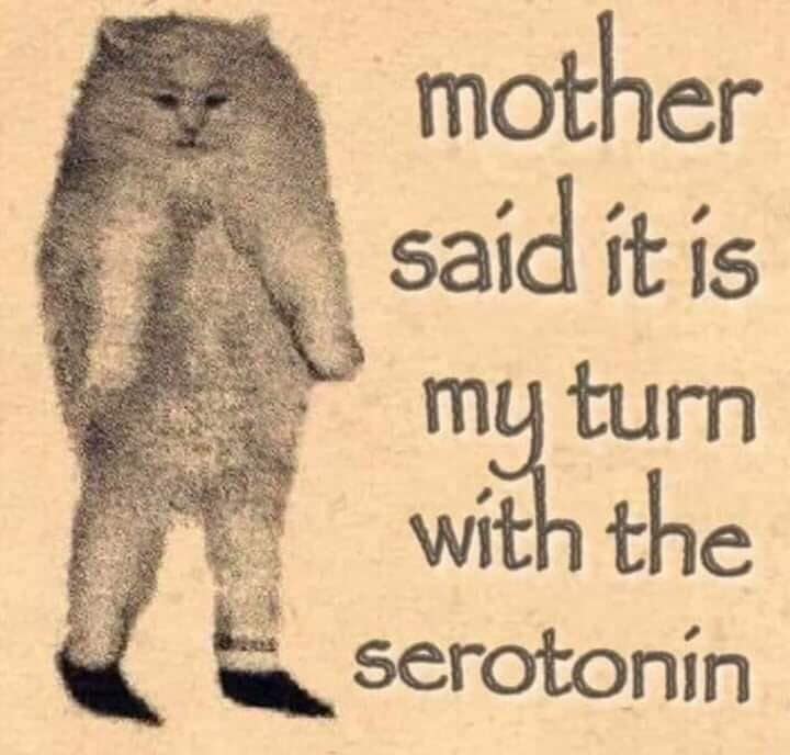 dark humor memes, depressing memes