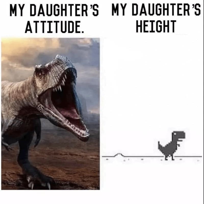 Daughter memes MY DAUGHTER'S MY DAUGHTER'S ATTITUDE. HEIGHT