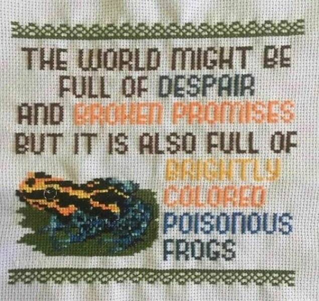 depressing memes THE WORLD MIGHT BE FULL OF DESPAIR AND BROKEN PROMISES BUT IT IS ALSO FULL OF DOLOREO POIsonOUs FROGS