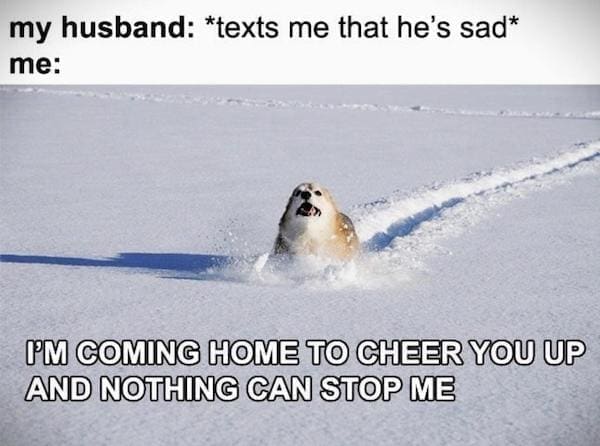 Dirty memes my husband: *texts me that he's sad* me: I'M COMING HOME TO CHEER YOU UP AND NOTHING CAN STOP ME