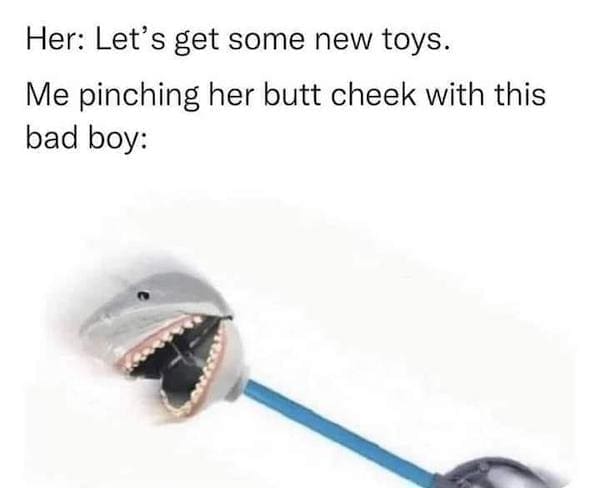 Dirty memes Her: Let's get some new toys. Me pinching her butt cheek with this bad boy: