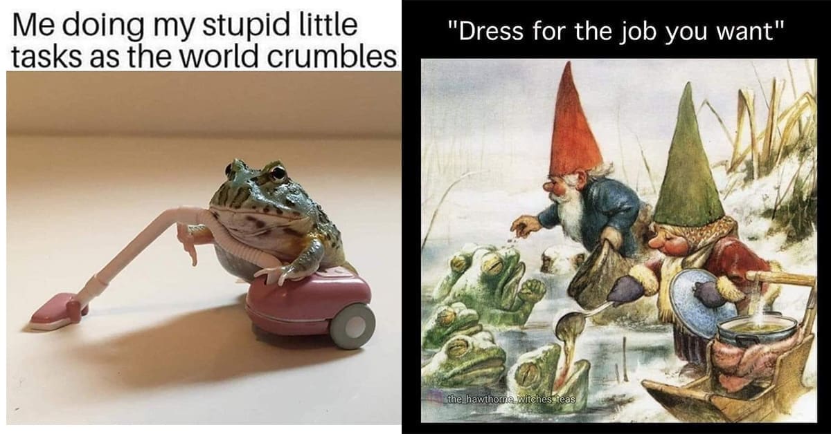 frog memes