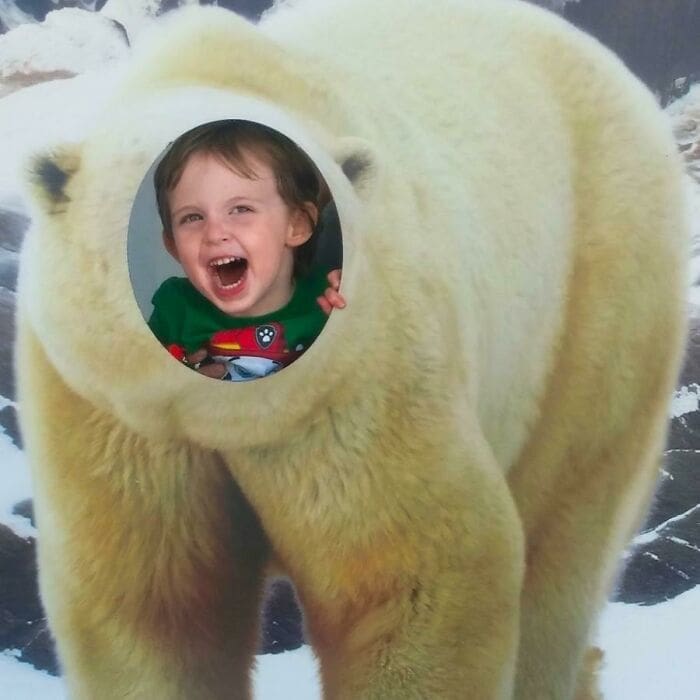 Funny face cutouts polar bear