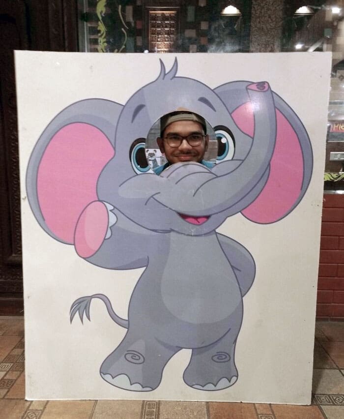 Funny face cutouts elephant