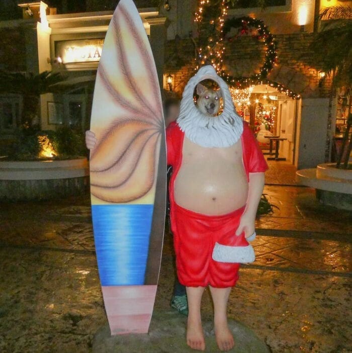 Funny face cutouts Santa snowboard