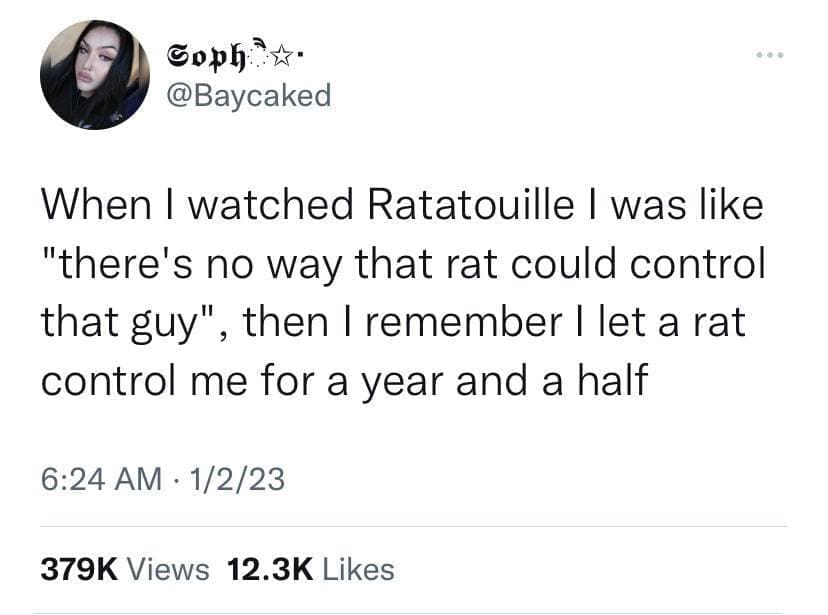 funny memes When I watched Ratatouille I was like "there's no way that rat could control that guy", then I remember I let a rat control me for a year and a half