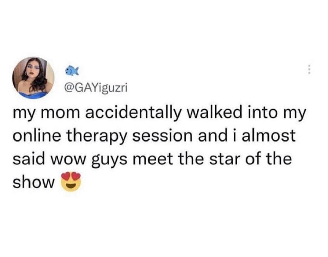 funny memes my mom accidentally walked into my online therapy session and i almost said wow guys meet the star of the show