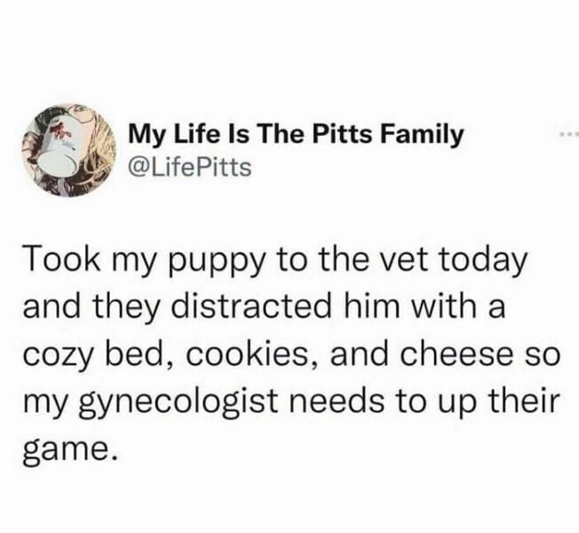 funny memes Took my puppy to the vet today and they distracted him with a cozy bed, cookies, and cheese so my gynecologist needs to up their game.