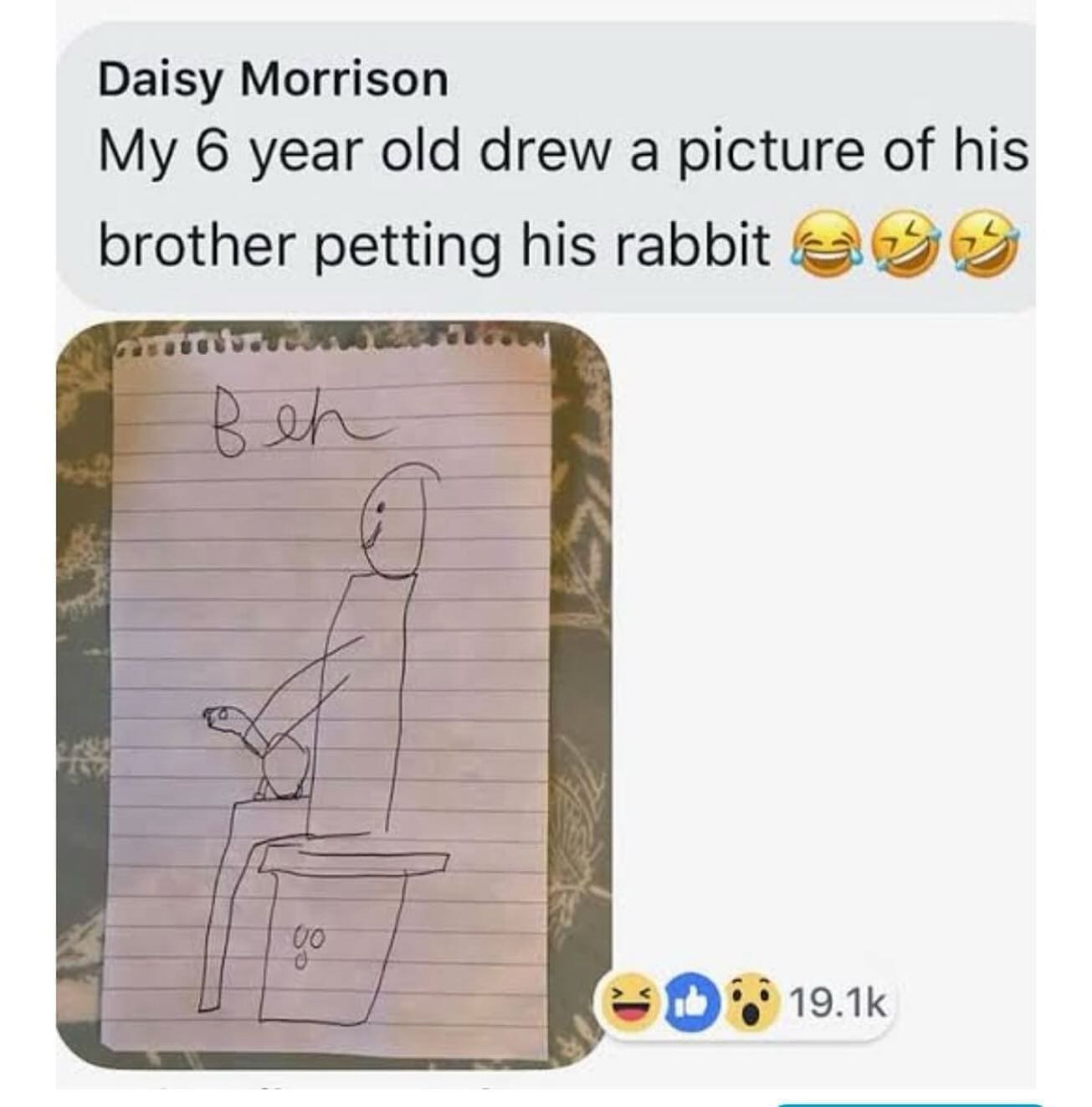 funny memes My 6 year old drew a picture of his brother petting his rabbit