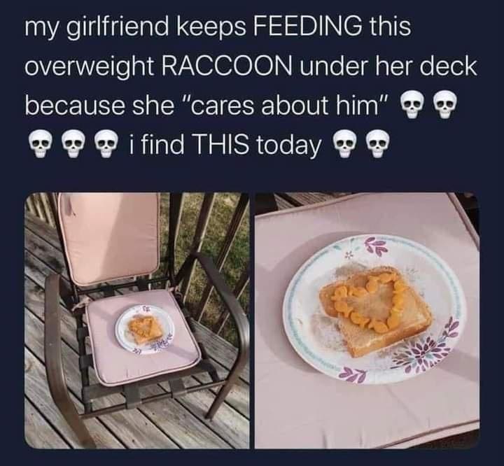 funny memes my girlfriend keeps FEEDING this overweight RACCOON under her deck because she "cares about him" i find THIS today