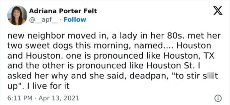 funny memes new neighbor moved in, a lady in her 80s. met her two sweet dogs this morning, named.... Houston and Houston. one is pronounced like Houston, TX and the other is pronounced like Houston St. I asked her why and she said, deadpan, "to stir st up". I live for it