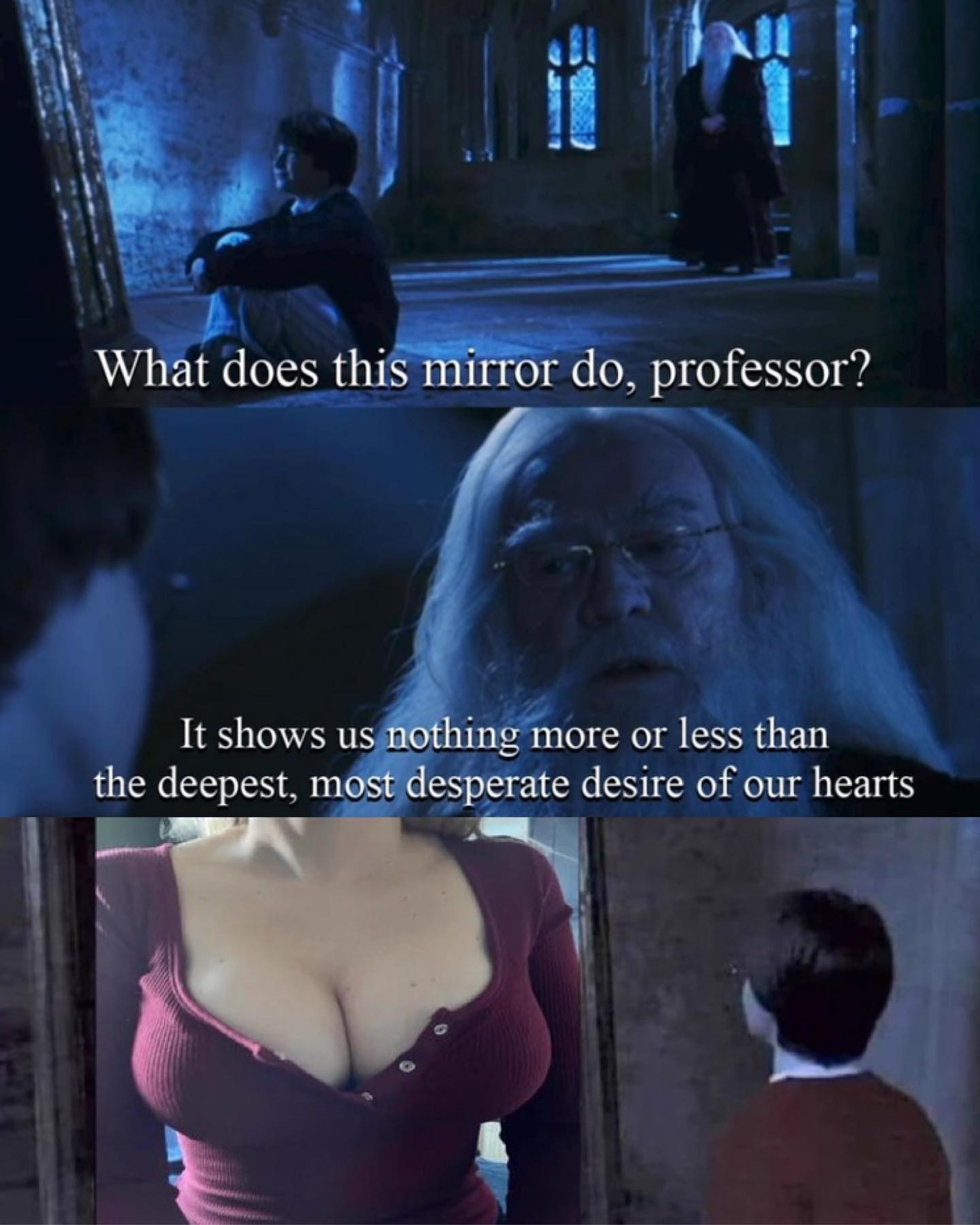funny memes What does this mirror do, professor? It shows us nothing more or less than the deepest, most desperate desire of our hearts boobs Harry Potter
