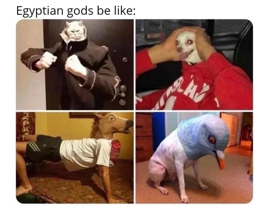 funny memes Egyptian gods be like: