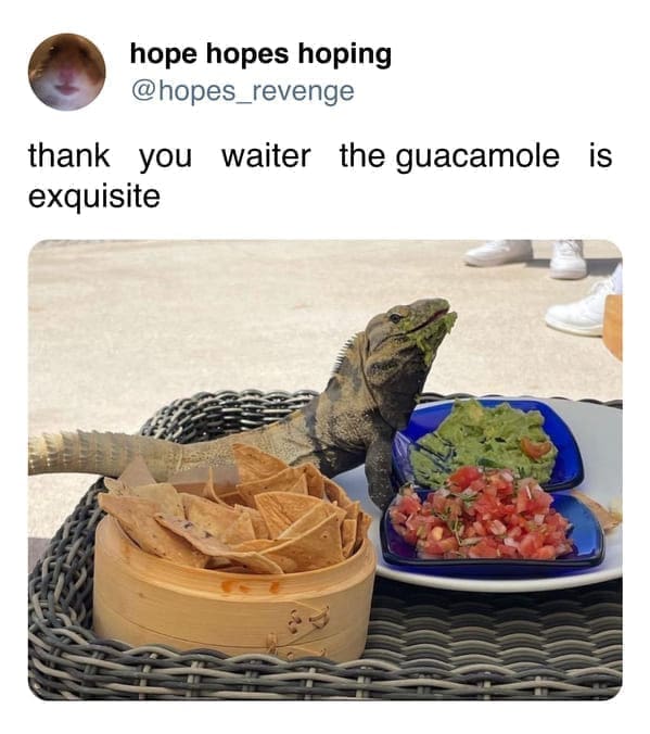 funny memes thank you waiter the guacamole • is exquisite