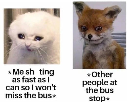 funny memes Me sh ting as fast as I can so I won't miss the bus* *Other people at the bus stop*