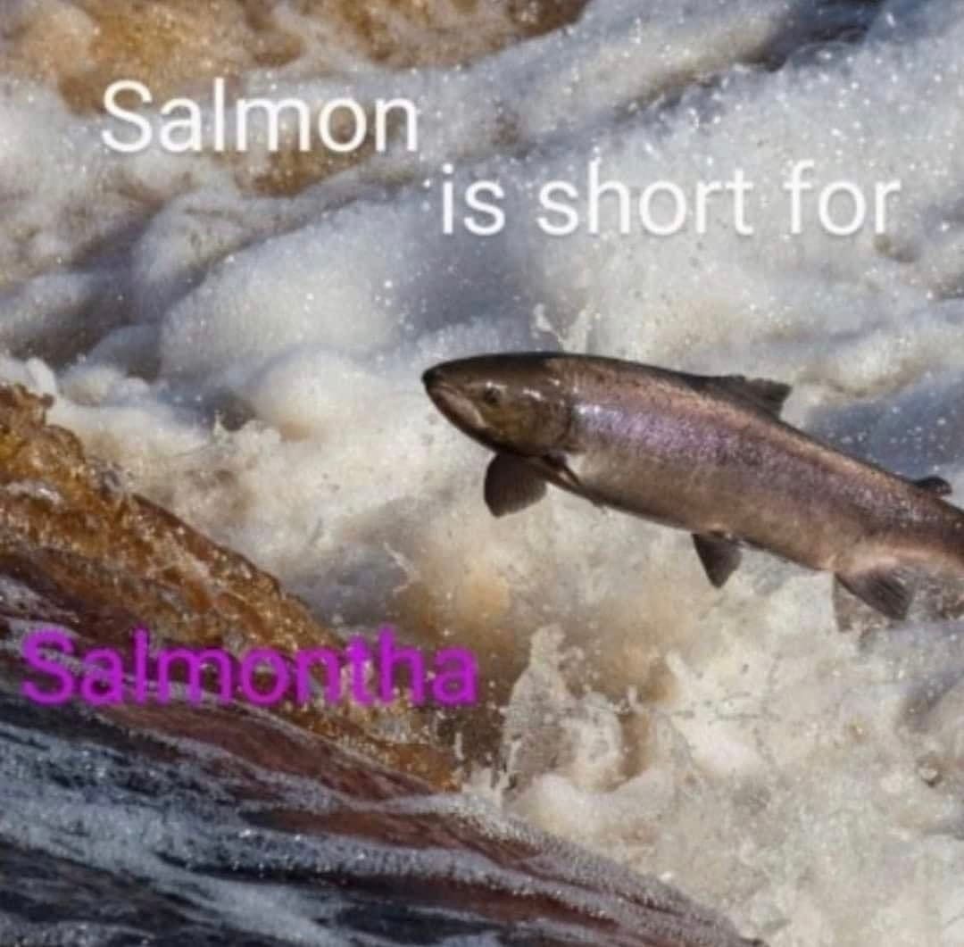 funny memes Salmon is short for Salmona