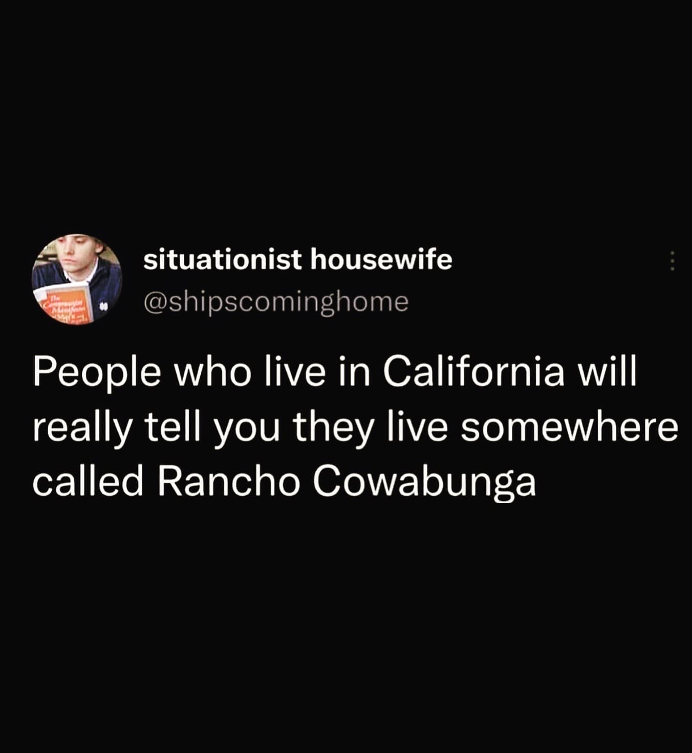 funny memes People who live in California will really tell you they live somewhere called Rancho Cowabunga