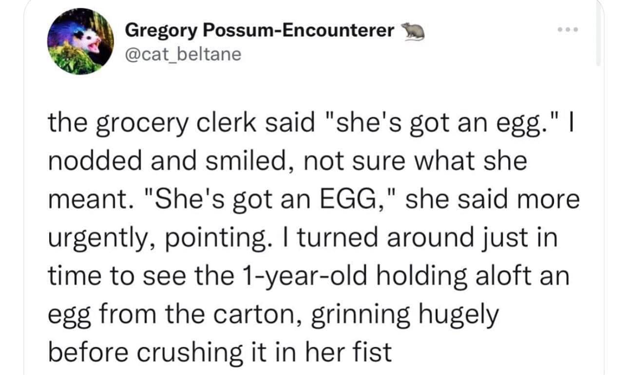 funny memes the grocery clerk said "she's got an egg." I nodded and smiled, not sure what she meant. "She's got an EGG," she said more urgently, pointing. I turned around just in time to see the 1-year-old holding aloft an egg from the carton, grinning hugely before crushing it in her fist
