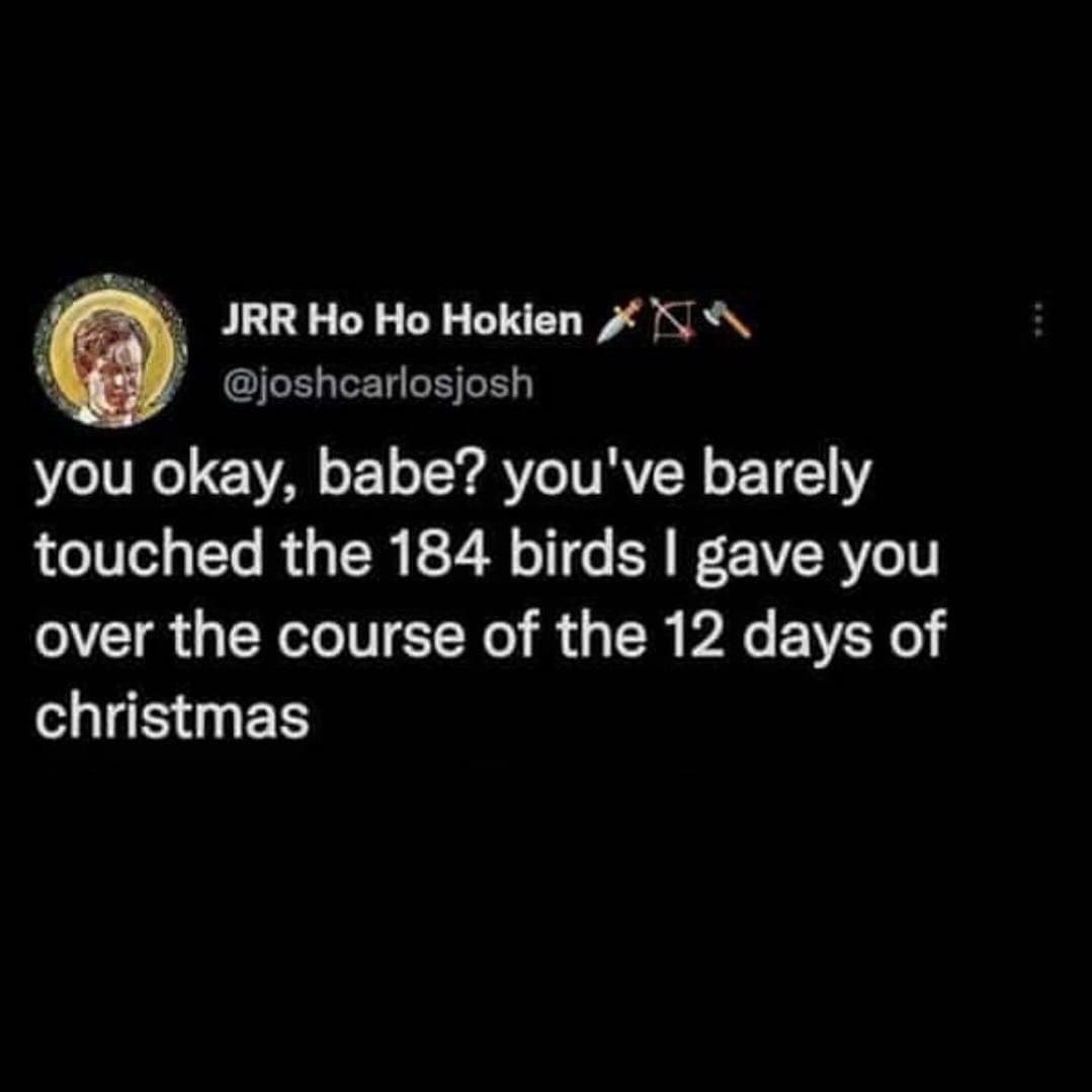 funny memes you okay, babe? you've barely touched the 184 birds I gave you over the course of the 12 days of christmas