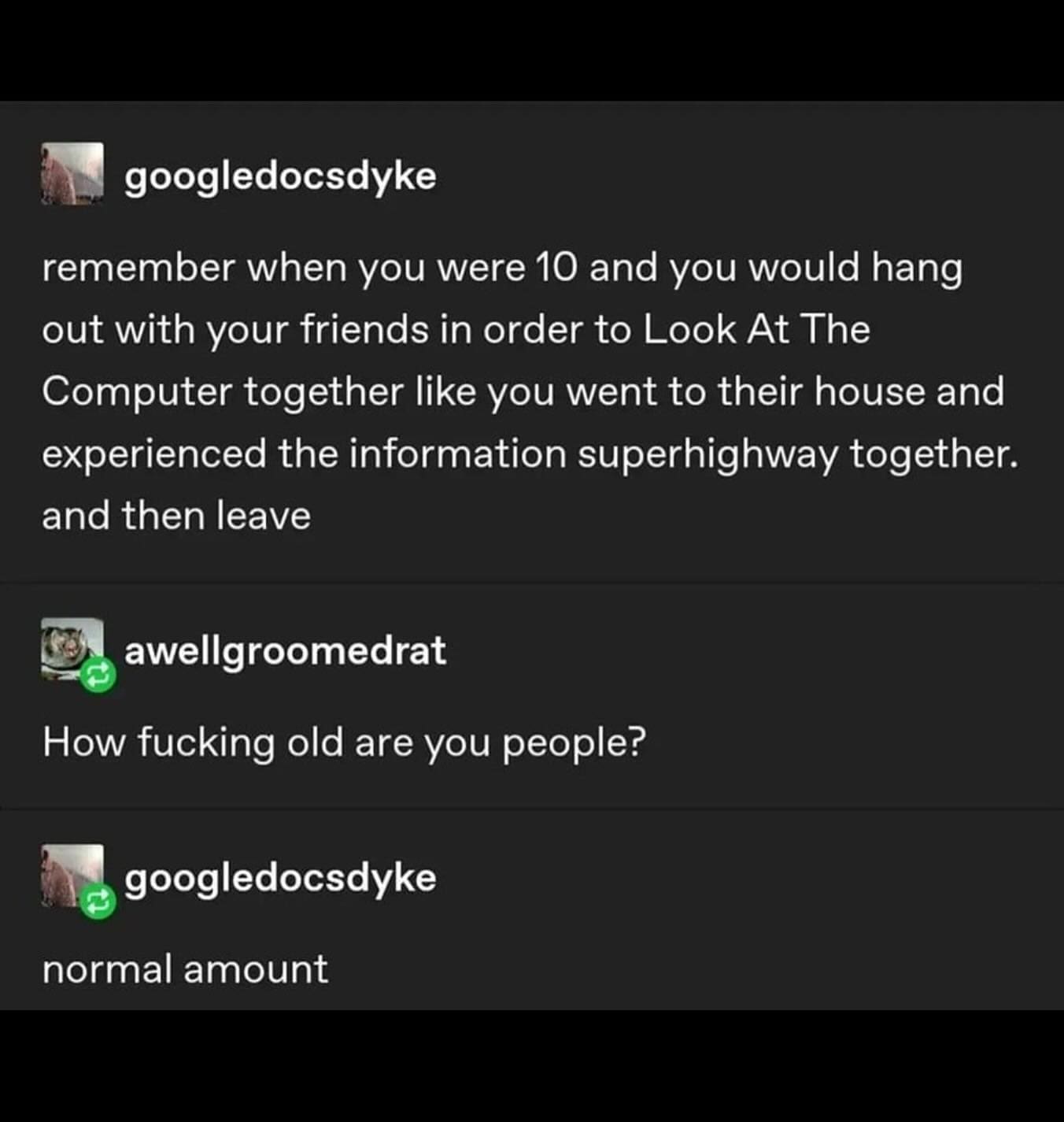 funny memes remember when you were 10 and you would hang out with your friends in order to Look At The Computer together like you went to their house and experienced the information superhighway together. and then leave