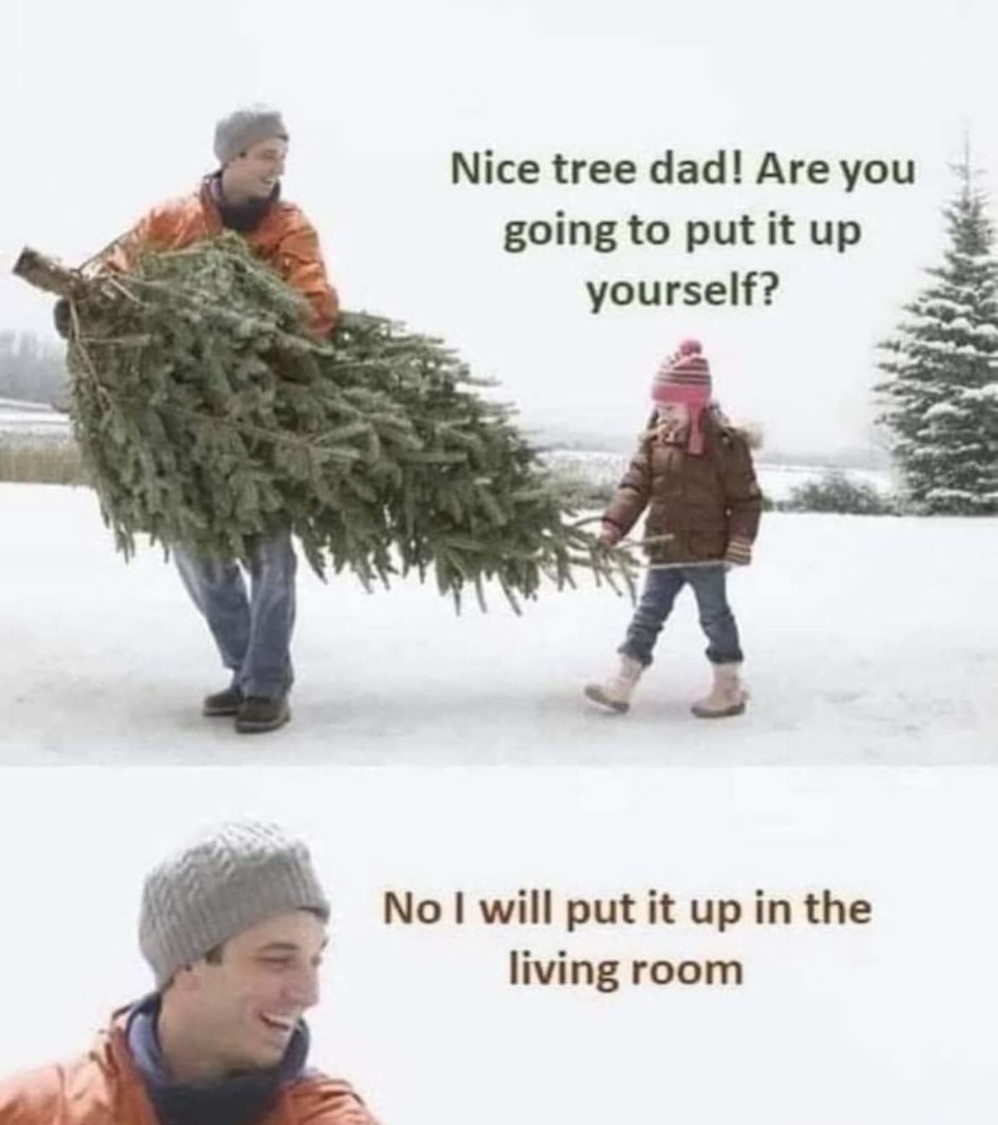 funny pics Nice tree dad! Are you going to put it up yourself? No I will put it up in the living room
