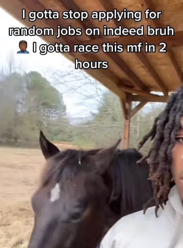 funny pics I gotta stop applying for random jobs on indeed bruh I gotta race this mf in 2 hours