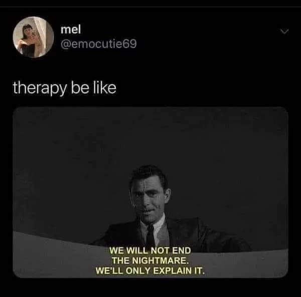 funny pics therapy be like WE WILL NOT END THE NIGHTMARE. WE'LL ONLY EXPLAIN IT.