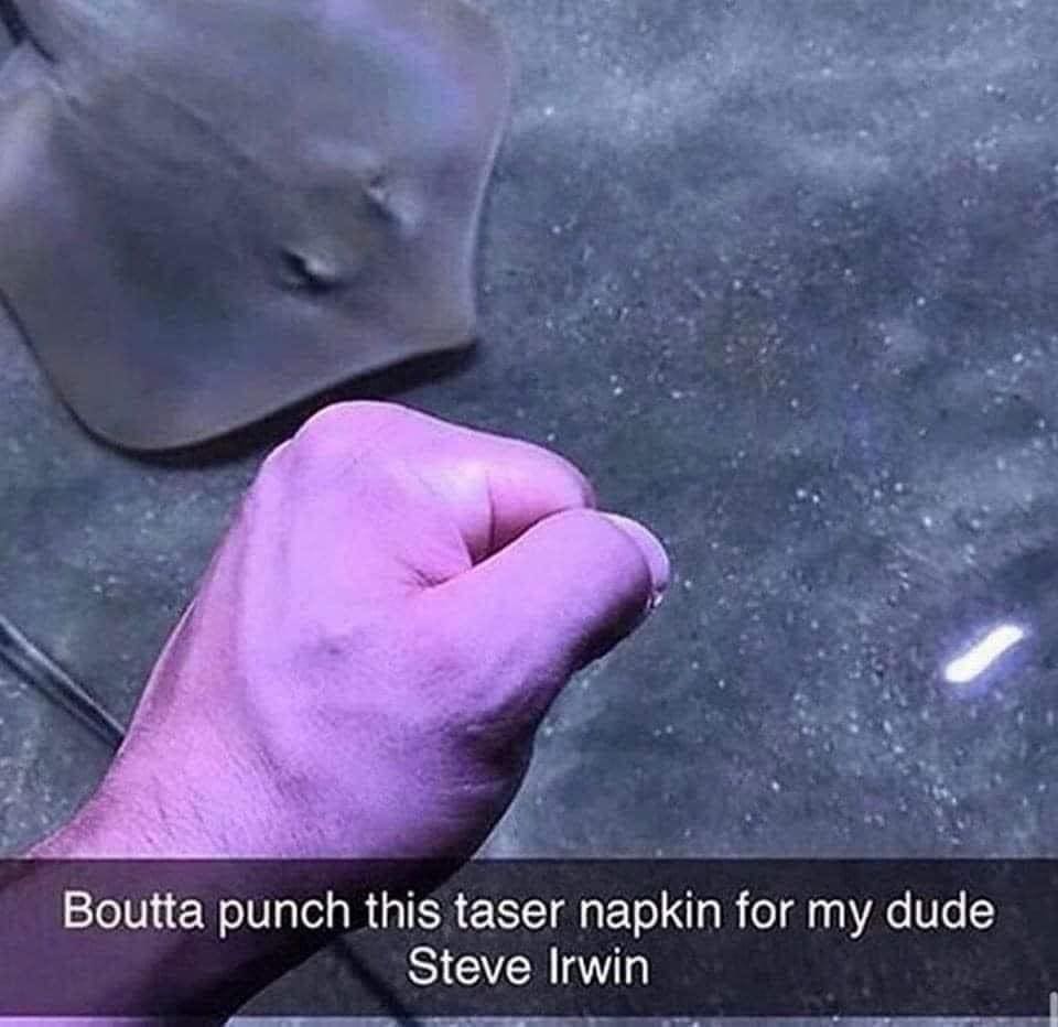 funny pics Boutta punch this taser napkin for my dude Steve Irwin