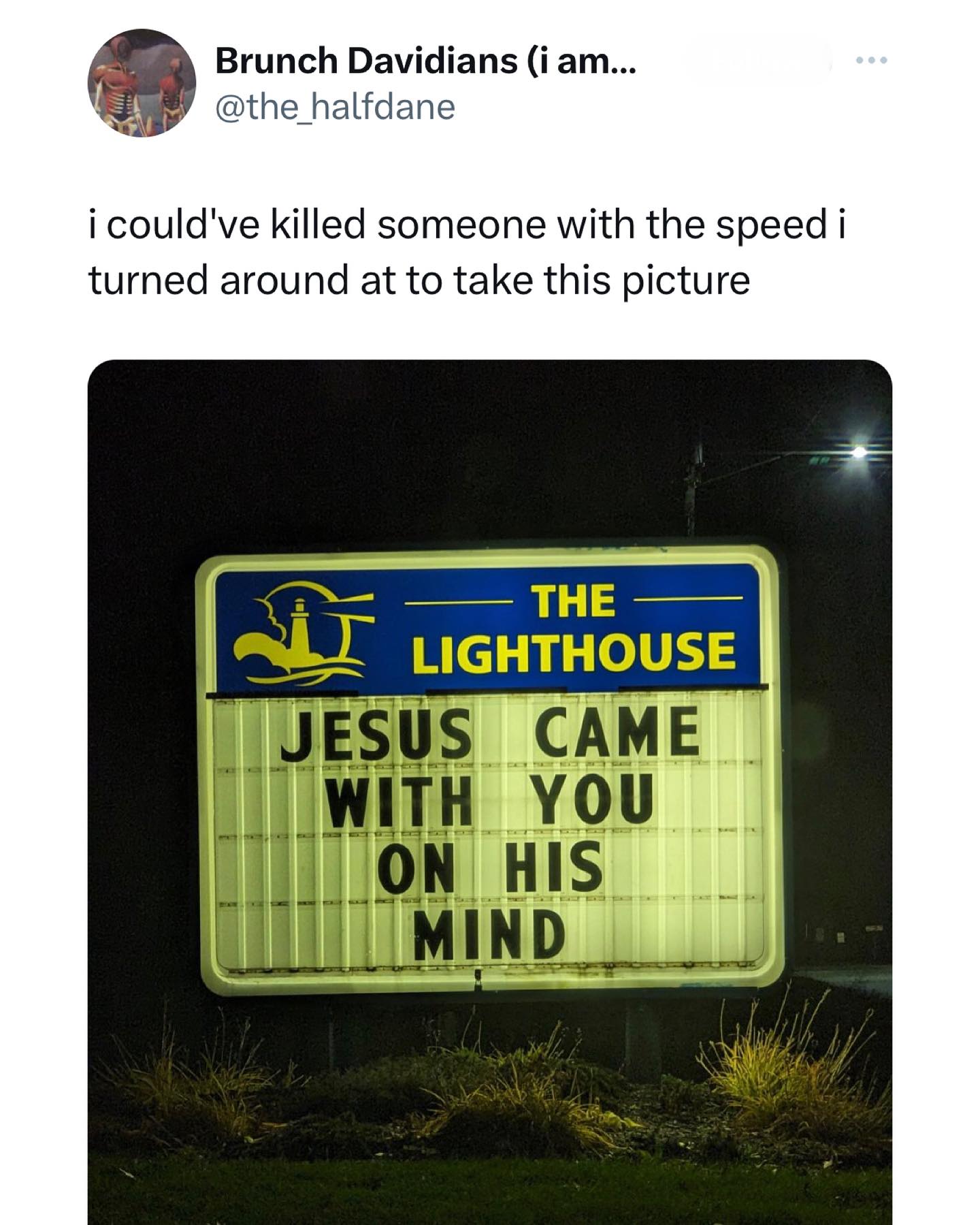 funny pics