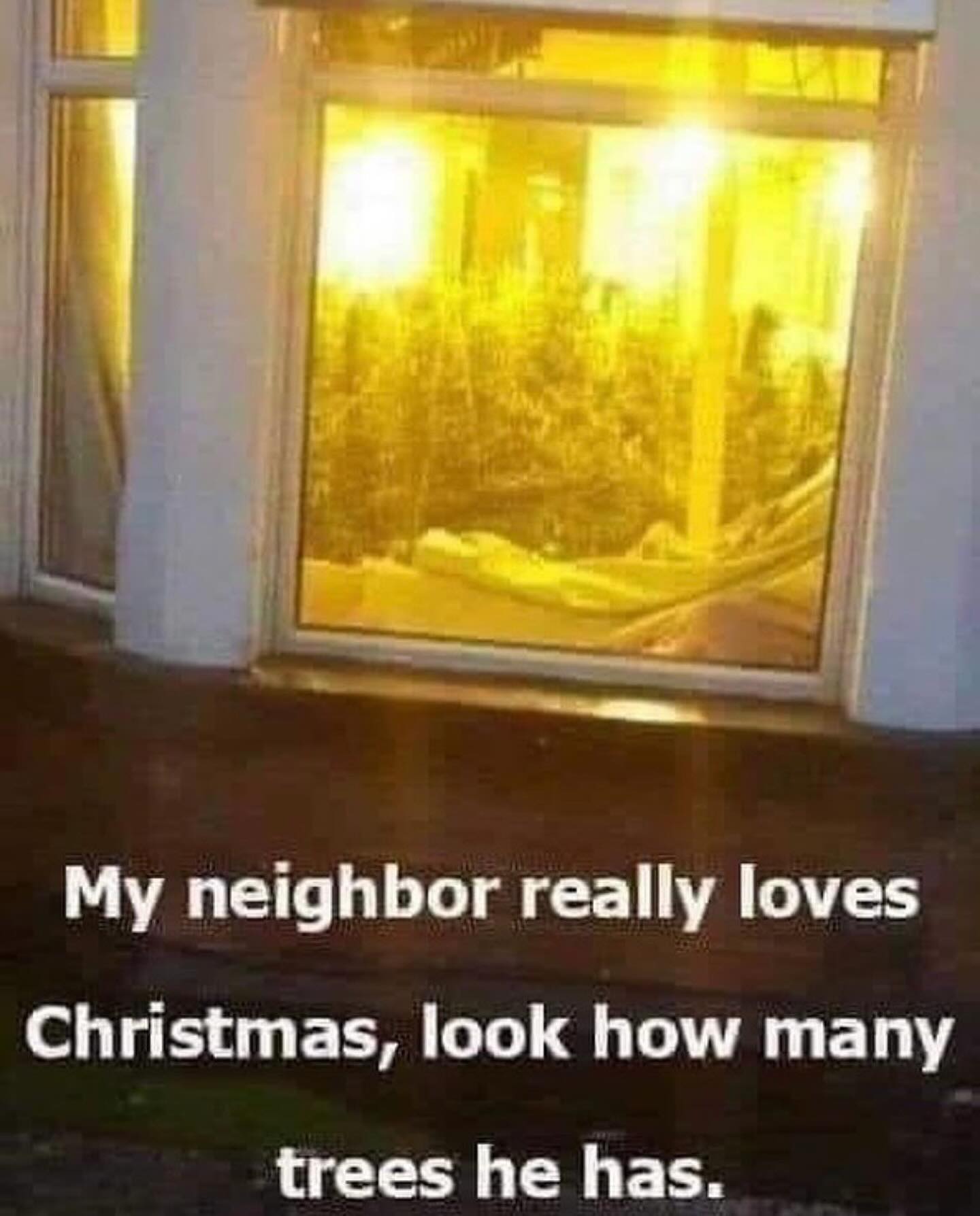 funny pictures My neighbor really loves Christmas, look how many trees he has.