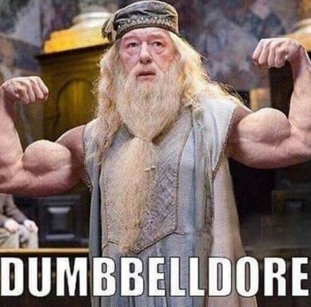 funny pics DUMBBELLDORE