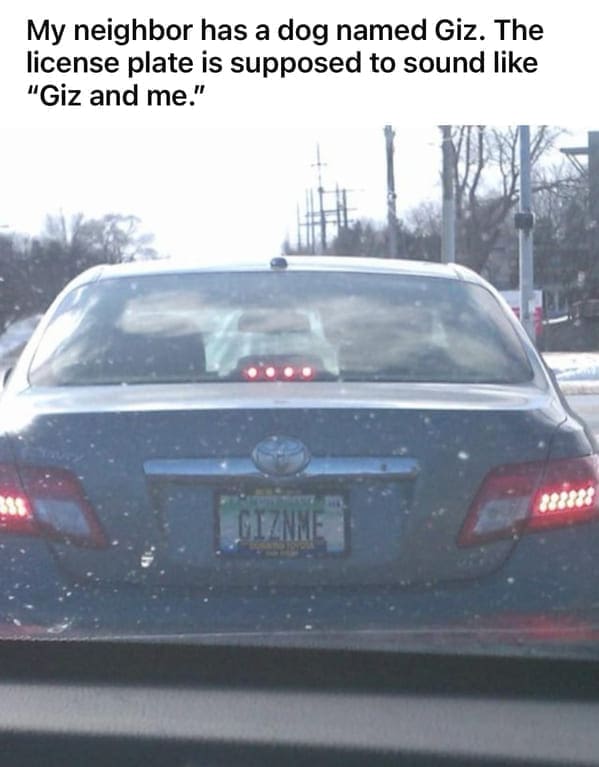 funny pics My neighbor has a dog named Giz. The license plate is supposed to sound like "Giz and me."