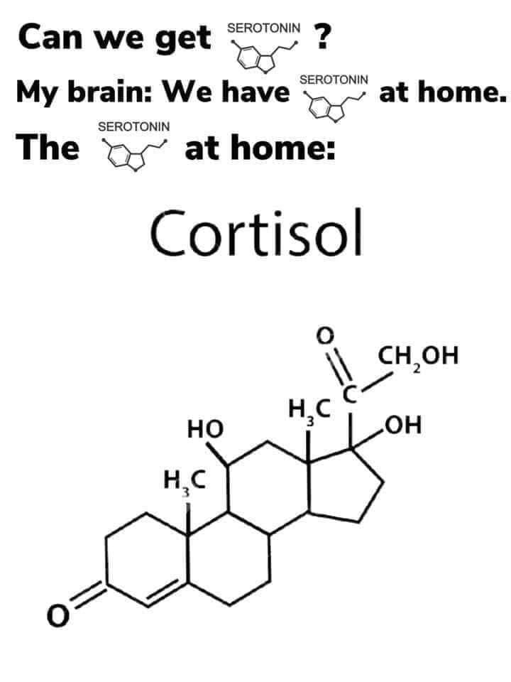 funny pics Can we get SEROTONIN ? My brain: We have SEROTONIN at home. SEROTONIN The at home: Cortisol