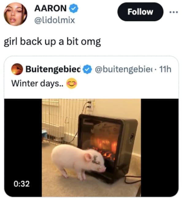 funny pics girl back up a bit omg pig by heater