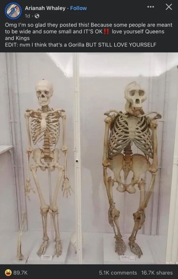 funny pics Omg I'm so glad they posted this! Because some people are meant to be wide and some small and IT'S OK. love yourself Queens and Kings EDIT: nvm I think that's a Gorilla BUT STILL LOVE YOURSELF