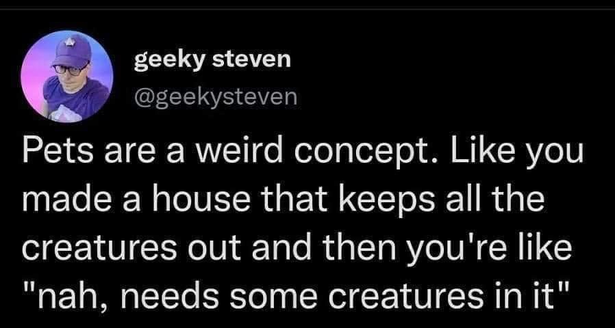 funny pics Pets are a weird concept. Like you made a house that keeps all the creatures out and then you're like "nah, needs some creatures in it"
