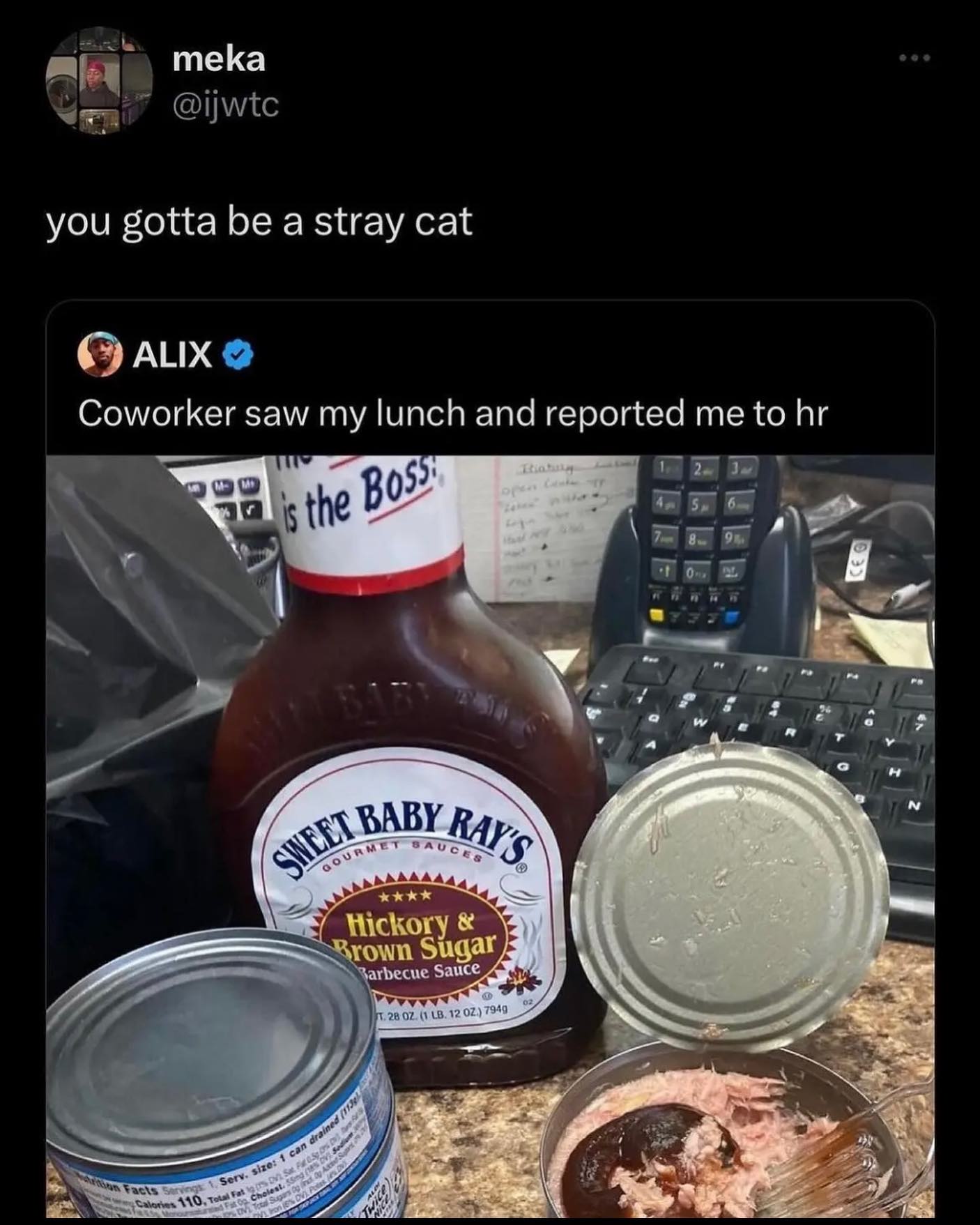 funny pictures you gotta be a stray cat ALIX Coworker saw my lunch and reported me to hr