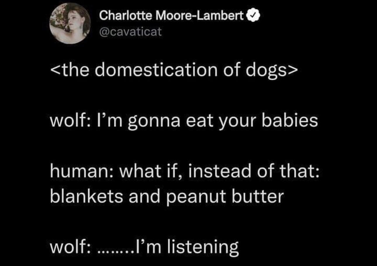funny tweets wolf: I'm gonna eat your babies human: what if, instead of that: blankets and peanut butter wolf: ........I'm listening