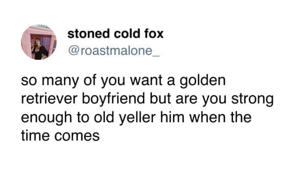 funny tweets so many of you want a golden retriever boyfriend but are you strong enough to old yeller him when the time comes