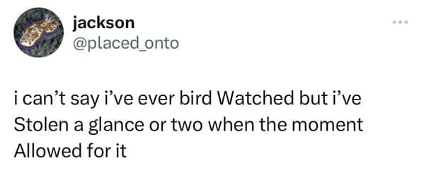 funny tweets i can't say i've ever bird Watched but i've Stolen a glance or two when the moment Allowed for it