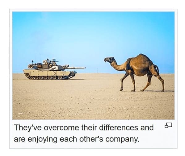 Funny wikipedia edits They've overcome their differences and are enjoying each other's company.