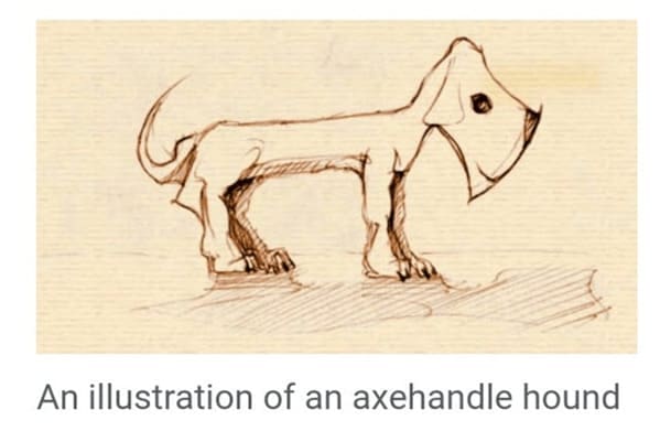 Funny wikipedia edits An illustration of an axehandle hound