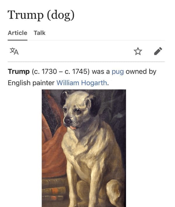 Funny wikipedia edits Trump (dog) Article Talk XA ★ Trump (c. 1730 - c. 1745) was a pug owned by English painter William Hogarth.