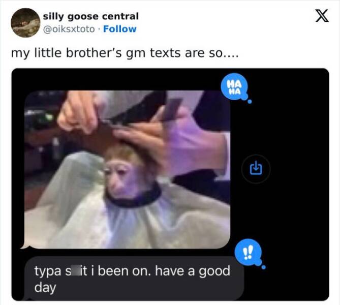 Gen Z Texting my little brother's gm texts are so.... HA 山 !! typa s it i been on. have a good day